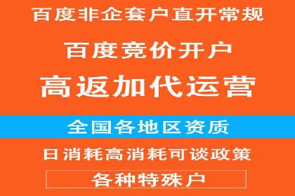 深度解析百度竞价包年服务：某行业领先企业的营销策略
